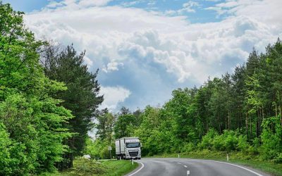 5 ways to reduce your carbon footprint with fleet management